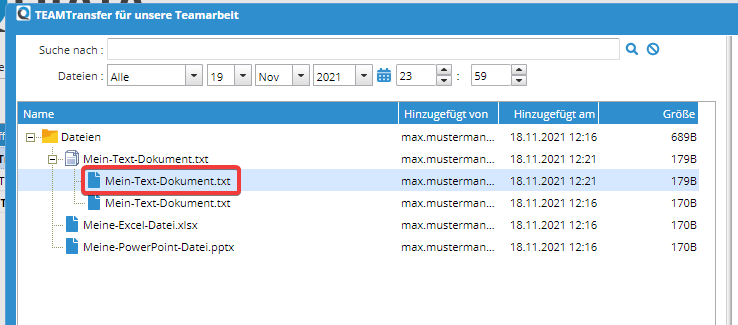 Files with multiple versions